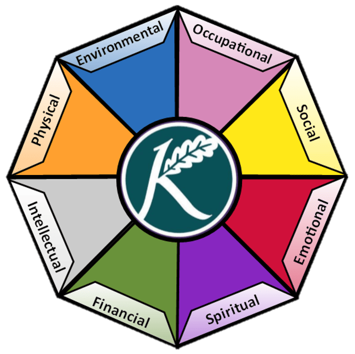 KW Wellness Wheel Transparent